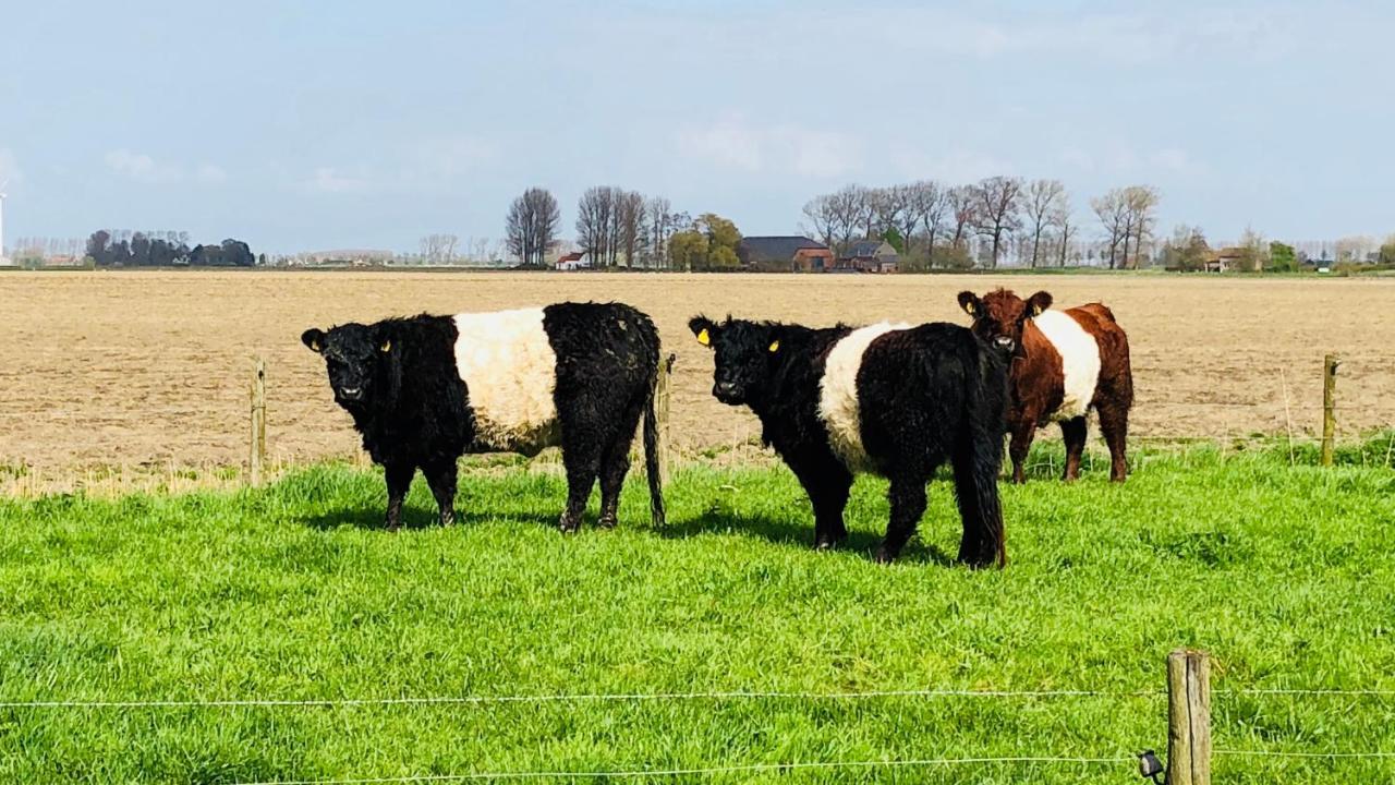 Bed and Breakfast Slapen Bij De Zeeuwse Lala IJzendijke Zewnętrze zdjęcie